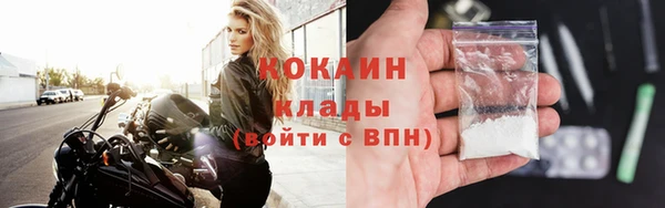 ешки Бородино