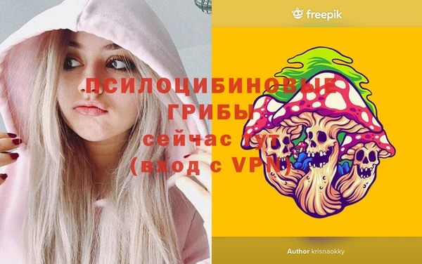 spice Бронницы