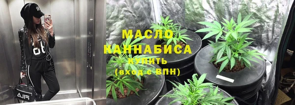 ешки Бородино