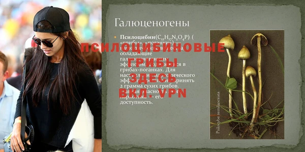 spice Бронницы