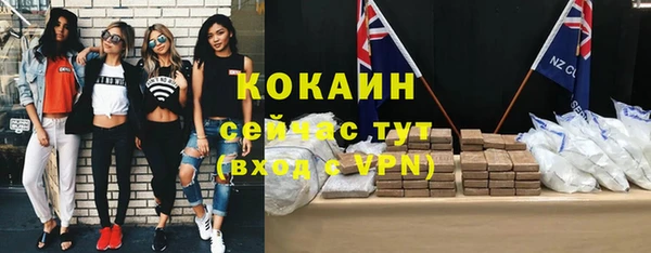 ешки Бородино