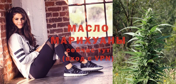ешки Бородино